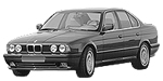 BMW E34 P1249 Fault Code